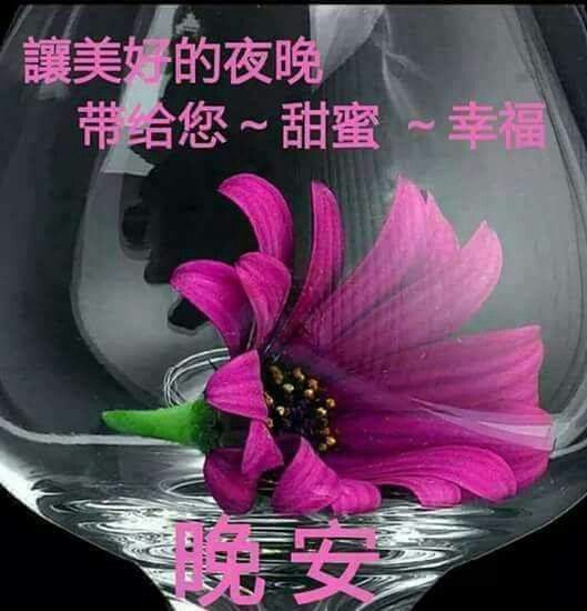 晚安圖